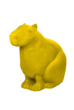 Carica l'immagine nel visualizzatore di Gallery, Capibara