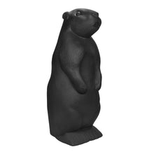Carica l'immagine nel visualizzatore di Gallery, Marmotta