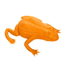Load image into Gallery viewer, Small Frog