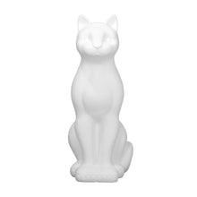 Carica l'immagine nel visualizzatore di Gallery, Gatto