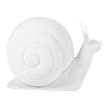 Load image into Gallery viewer, Small Snail