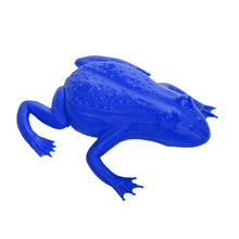 Load image into Gallery viewer, Small Frog