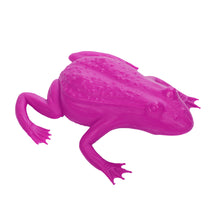 Load image into Gallery viewer, Small Frog