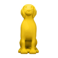 Carica l'immagine nel visualizzatore di Gallery, Cane