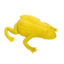 Load image into Gallery viewer, Small Frog
