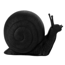 Load image into Gallery viewer, Small Snail