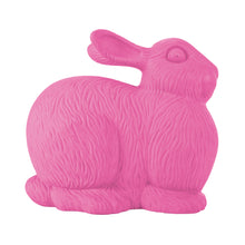 Load image into Gallery viewer, Giant Rabbit
