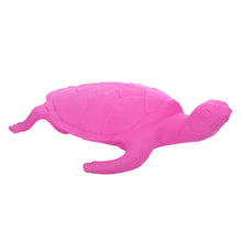 Load image into Gallery viewer, Medium Turtle