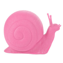 Load image into Gallery viewer, Small Snail