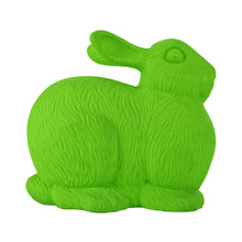 Load image into Gallery viewer, Giant Rabbit