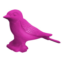 Load image into Gallery viewer, Giant Swallow