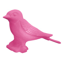 Load image into Gallery viewer, Giant Swallow