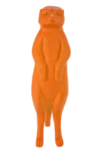 Carica l'immagine nel visualizzatore di Gallery, Suricato