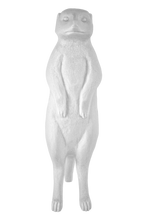 Carica l'immagine nel visualizzatore di Gallery, Suricato