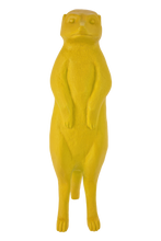 Carica l'immagine nel visualizzatore di Gallery, Suricato