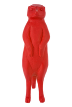 Carica l'immagine nel visualizzatore di Gallery, Suricato