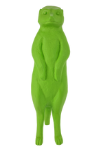 Carica l'immagine nel visualizzatore di Gallery, Suricato