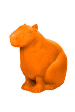 Carica l'immagine nel visualizzatore di Gallery, Capibara
