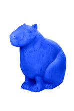 Carica l'immagine nel visualizzatore di Gallery, Capibara
