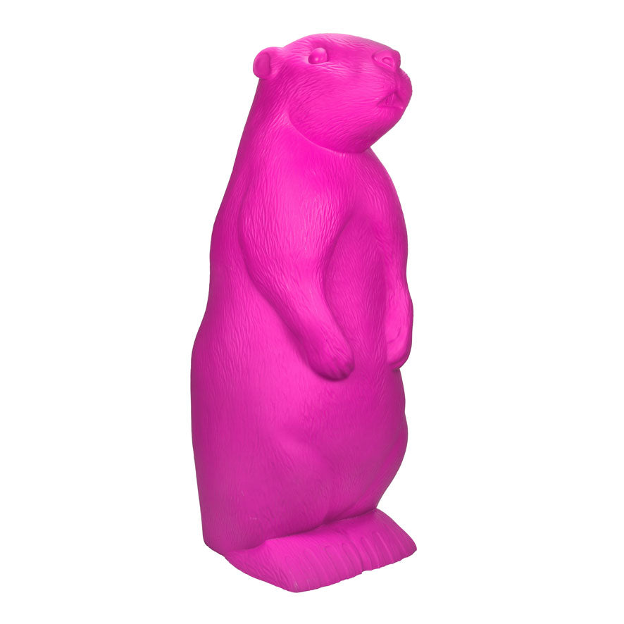 Marmotta