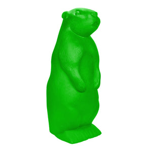 Marmotta