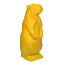 Carica l&#39;immagine nel visualizzatore di Gallery, Marmotta
