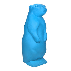 Marmotta