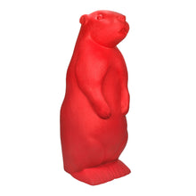Carica l&#39;immagine nel visualizzatore di Gallery, Marmotta
