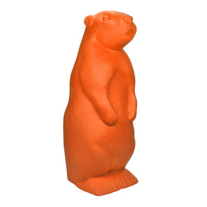Marmotta