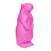 Carica l&#39;immagine nel visualizzatore di Gallery, Marmotta
