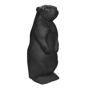 Marmotta