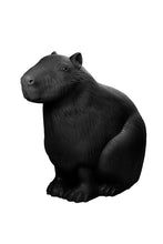 Carica l'immagine nel visualizzatore di Gallery, Capibara
