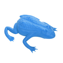 Load image into Gallery viewer, Small Frog
