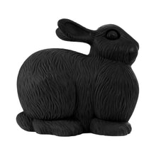 Load image into Gallery viewer, Medium Rabbit
