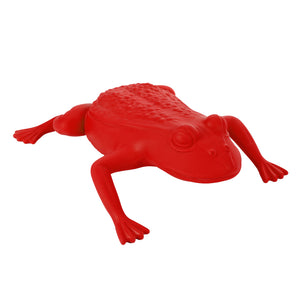 Medium Frog